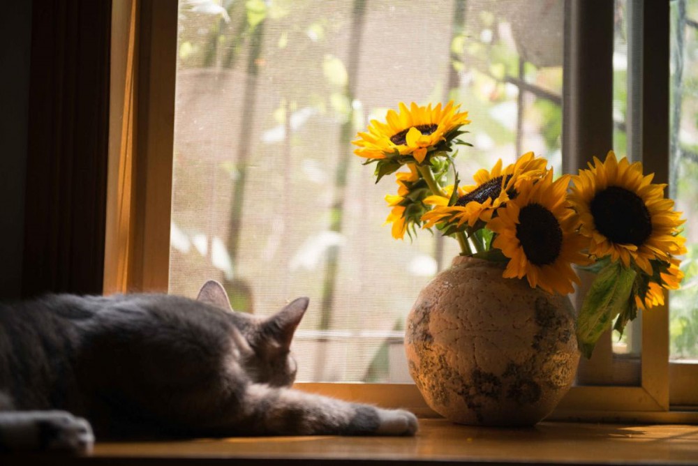 Creative Ways to Conquer Boredom