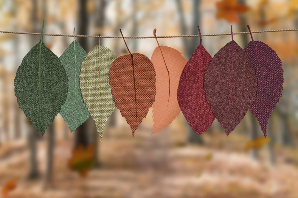 An Autumn For The Arts